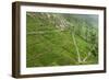 Dambatenne Estate, Lipton Tea Estates, Haputale, Hill Country, Sri Lanka, Asia-Tony Waltham-Framed Photographic Print