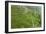 Dambatenne Estate, Lipton Tea Estates, Haputale, Hill Country, Sri Lanka, Asia-Tony Waltham-Framed Photographic Print