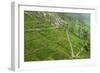 Dambatenne Estate, Lipton Tea Estates, Haputale, Hill Country, Sri Lanka, Asia-Tony Waltham-Framed Photographic Print