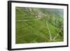 Dambatenne Estate, Lipton Tea Estates, Haputale, Hill Country, Sri Lanka, Asia-Tony Waltham-Framed Photographic Print