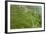 Dambatenne Estate, Lipton Tea Estates, Haputale, Hill Country, Sri Lanka, Asia-Tony Waltham-Framed Photographic Print