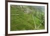 Dambatenne Estate, Lipton Tea Estates, Haputale, Hill Country, Sri Lanka, Asia-Tony Waltham-Framed Photographic Print