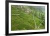 Dambatenne Estate, Lipton Tea Estates, Haputale, Hill Country, Sri Lanka, Asia-Tony Waltham-Framed Photographic Print