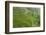 Dambatenne Estate, Lipton Tea Estates, Haputale, Hill Country, Sri Lanka, Asia-Tony Waltham-Framed Photographic Print