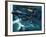 Dambusters-Wilf Hardy-Framed Giclee Print