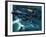 Dambusters-Wilf Hardy-Framed Giclee Print