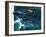 Dambusters-Wilf Hardy-Framed Giclee Print