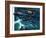 Dambusters-Wilf Hardy-Framed Giclee Print