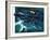 Dambusters-Wilf Hardy-Framed Giclee Print