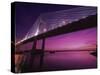 Dames Point Bridge, Jacksonville, Florida, USA-null-Stretched Canvas