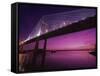 Dames Point Bridge, Jacksonville, Florida, USA-null-Framed Stretched Canvas