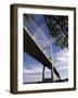 Dames Point Bridge, Jacksonville, Florida, USA-null-Framed Photographic Print