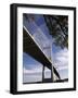 Dames Point Bridge, Jacksonville, Florida, USA-null-Framed Photographic Print