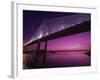 Dames Point Bridge, Jacksonville, Florida, USA-null-Framed Photographic Print