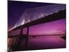 Dames Point Bridge, Jacksonville, Florida, USA-null-Mounted Photographic Print