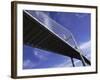 Dames Point Bridge, Jacksonville, Florida, USA-null-Framed Photographic Print