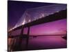 Dames Point Bridge, Jacksonville, Florida, USA-null-Stretched Canvas