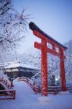 Blue hour in Shimogamo Shrine, UNESCO World Heritage Site, during the largest snowfall on Kyoto in-Damien Douxchamps-Photographic Print