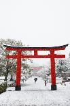 Blue hour in Shimogamo Shrine, UNESCO World Heritage Site, during the largest snowfall on Kyoto in-Damien Douxchamps-Photographic Print