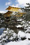Snowy path in bamboo forest, Kodai-ji temple, Kyoto, Japan, Asia-Damien Douxchamps-Photographic Print