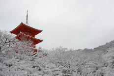 Entrance gate of Kiyomizu-dera Temple during snow storm, UNESCO World Heritage Site, Kyoto, Japan,-Damien Douxchamps-Photographic Print