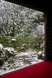 Entoku-in temple garden in winter, Kyoto, Japan, Asia-Damien Douxchamps-Photographic Print