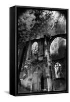 Dammarie-Les-Lys Abbey, Isle-De-France, France-Simon Marsden-Framed Stretched Canvas