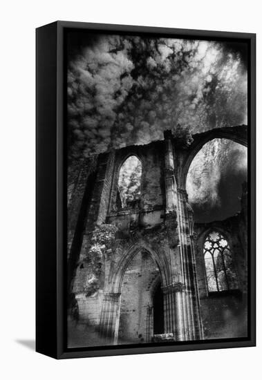 Dammarie-Les-Lys Abbey, Isle-De-France, France-Simon Marsden-Framed Stretched Canvas