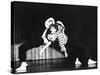 Damn Yankees, Gwen Verdon, Bob Fosse, 1958-null-Stretched Canvas