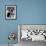 Damn Yankees, Tab Hunter, Gwen Verdon, 1958-null-Framed Photo displayed on a wall