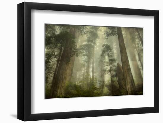 Damnation Trail-David Lorenz Winston-Framed Art Print