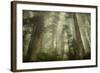 Damnation Trail-David Lorenz Winston-Framed Art Print