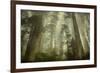 Damnation Trail-David Lorenz Winston-Framed Art Print