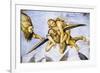 Damned in Hell, from Last Judgment Fresco Cycle, 1499-1504-Luca Signorelli-Framed Giclee Print