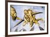 Damned in Hell, from Last Judgment Fresco Cycle, 1499-1504-Luca Signorelli-Framed Giclee Print