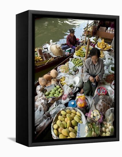 Damnoen Saduak Floating Market, Bangkok, Thailand, Southeast Asia, Asia-Michael Snell-Framed Stretched Canvas