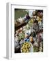 Damnoen Saduak Floating Market, Bangkok, Thailand, Southeast Asia, Asia-Michael Snell-Framed Photographic Print