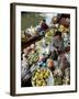 Damnoen Saduak Floating Market, Bangkok, Thailand, Southeast Asia, Asia-Michael Snell-Framed Photographic Print