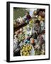 Damnoen Saduak Floating Market, Bangkok, Thailand, Southeast Asia, Asia-Michael Snell-Framed Photographic Print