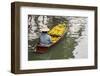 Damnoen Saduak Floating Market, Bangkok, Thailand. Woman with boatload of bananas.-Tom Haseltine-Framed Photographic Print