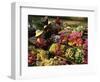 Damnoen Saduak Floating Market, Bangkok, Thailand-Gavin Hellier-Framed Photographic Print