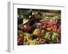 Damnoen Saduak Floating Market, Bangkok, Thailand-Gavin Hellier-Framed Photographic Print