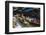 Damnoen Saduak Floating Markets, Bangkok, Thailand, Southeast Asia, Asia-Frank Fell-Framed Photographic Print