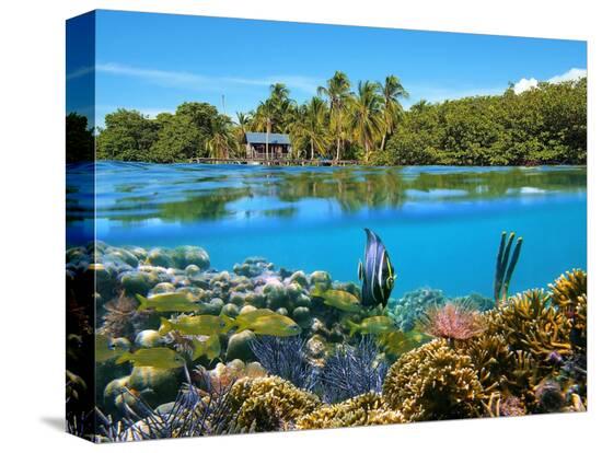 Stretched Canvas Print, , large