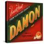 Damon Brand - Santa Paula, California - Citrus Crate Label-Lantern Press-Stretched Canvas