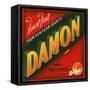 Damon Brand - Santa Paula, California - Citrus Crate Label-Lantern Press-Framed Stretched Canvas