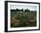 Damous El Karita Basilica-null-Framed Photographic Print