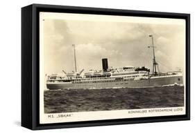 Dampfer M.S. Sibaj, Rotterdamsche Lloyd-null-Framed Stretched Canvas