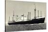 Dampfer M.S. Sloterdyk, Holland America Line-null-Stretched Canvas