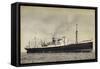 Dampfer M.V. Dalerdijk, Holland America Line-null-Framed Stretched Canvas